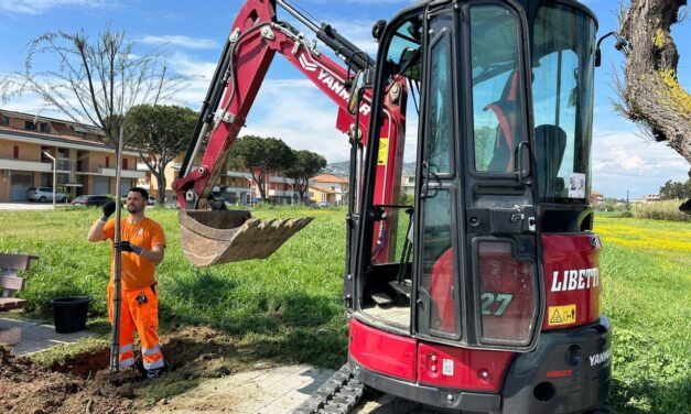 Martinsicuro, 39 nuovi alberi sul lungomare