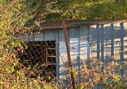 Roseto, pulizia nell’area ex piccionaia: restano i nodi