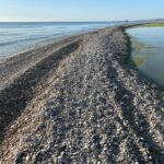 Salinello, con il ponte chiuso si torna a passare tra i sassi