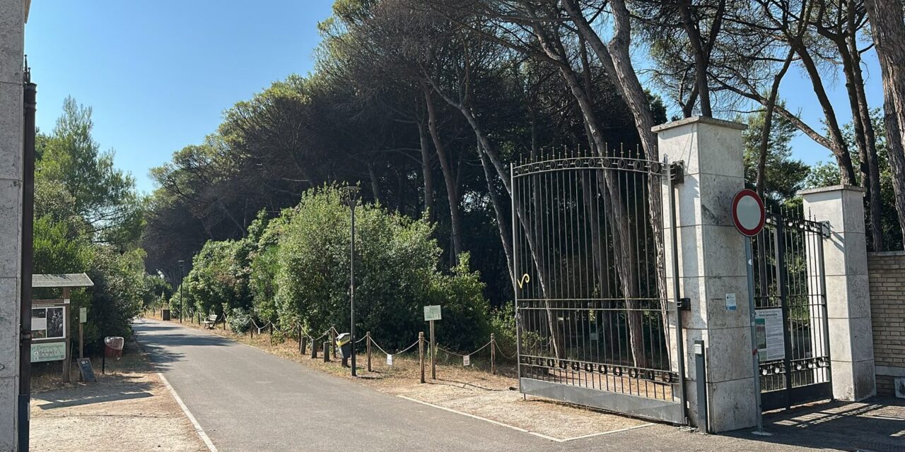 Pineta dannunziana, il ricordo del rogo e i lavori in corso