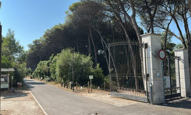 Pineta dannunziana, il ricordo del rogo e i lavori in corso