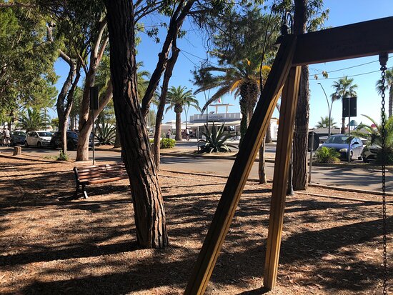 Roseto, malore dopo la caduta in pineta: soccorsa una donna