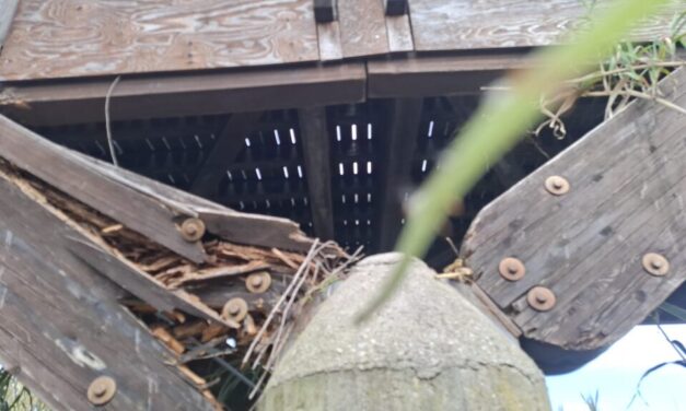 Ponte sul Salinello, nuove richieste su riapertura e tempi