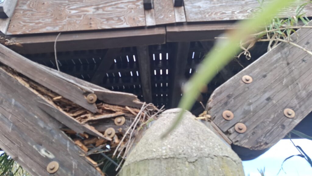 Ponte sul Salinello, nuove richieste su riapertura e tempi