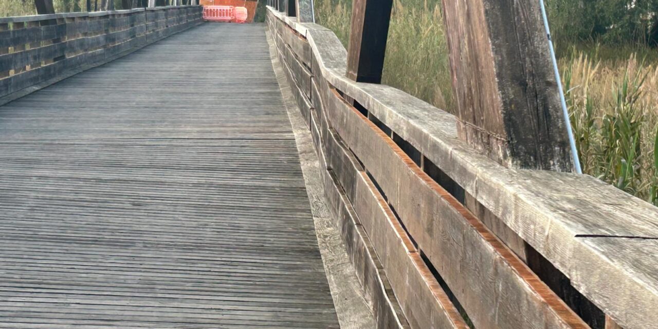 Ponte sul Salinello, controlli tecnici prima dei lavori