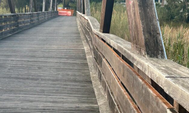 Ponte sul Salinello, controlli tecnici prima dei lavori