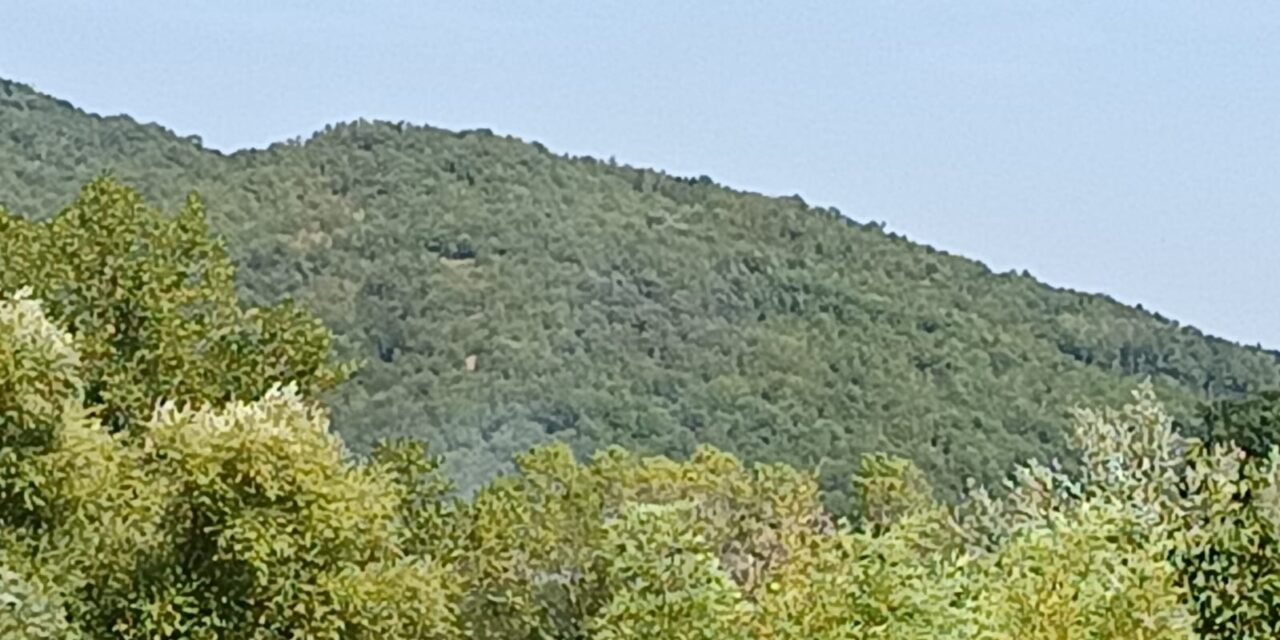 Fiamme tra la vegetazione a Ripe di Civitella del Tronto