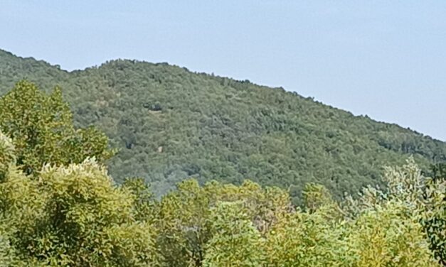 Fiamme tra la vegetazione a Ripe di Civitella del Tronto