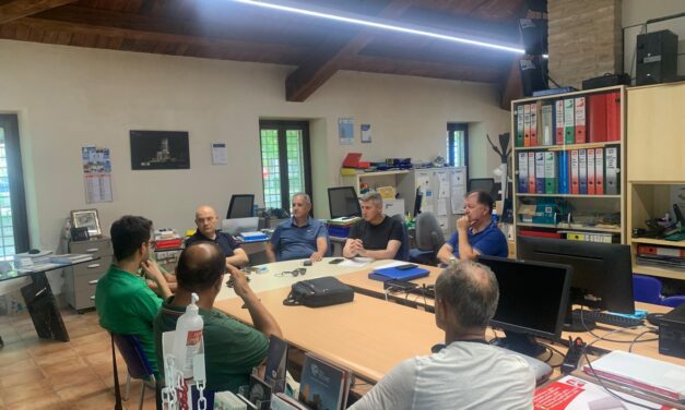 Pineto accelera contro il parassita dei pini: partono i trattamenti