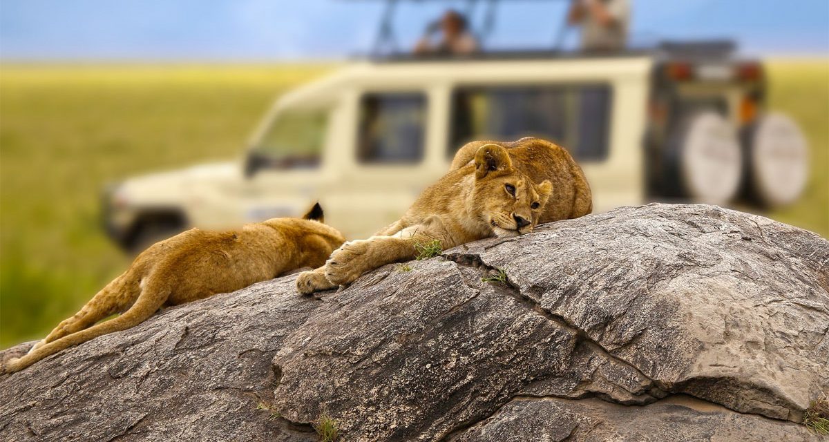 Viaggi di nozze in Tanzania