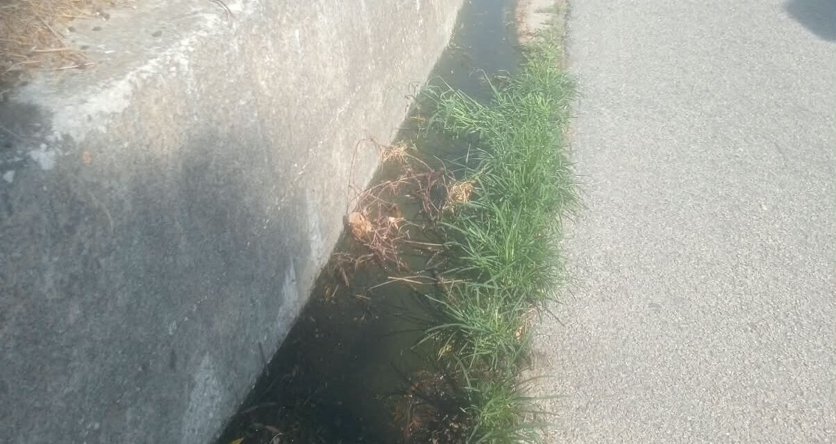 Tortoreto, cattivi odori e ristagni sulla SP Setti Colli