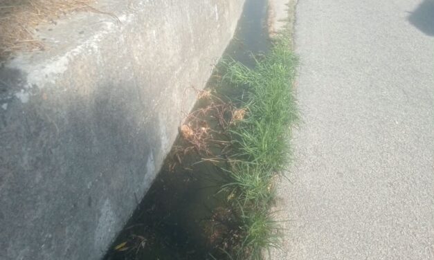 Tortoreto, cattivi odori e ristagni sulla SP Setti Colli