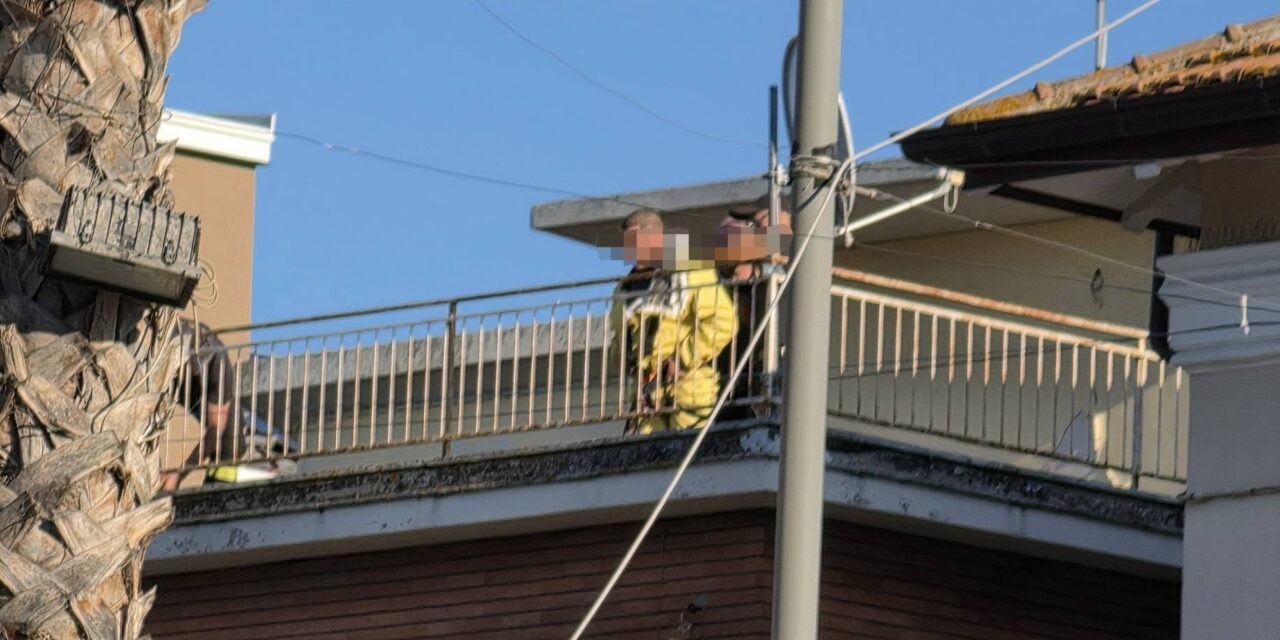 Api in una casa del centro a Giulianova, area messa in sicurezza