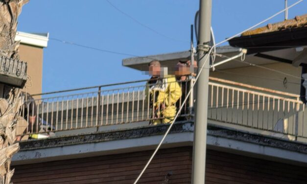 Api in una casa del centro a Giulianova, area messa in sicurezza
