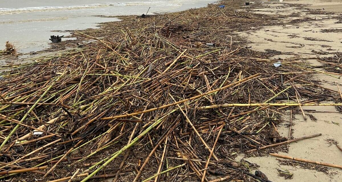 Rifiuti sulle spiagge, chiesto un aiuto ai Comuni costieri