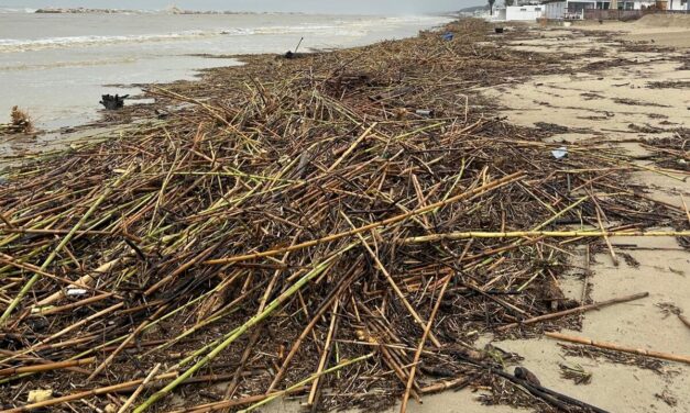 Rifiuti sulle spiagge, chiesto un aiuto ai Comuni costieri