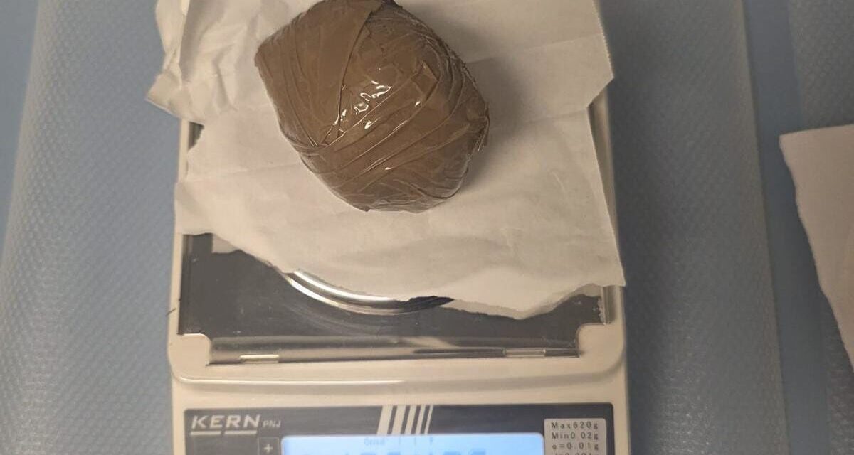 Corropoli, cane da tartufo fa emergere droga in campagna