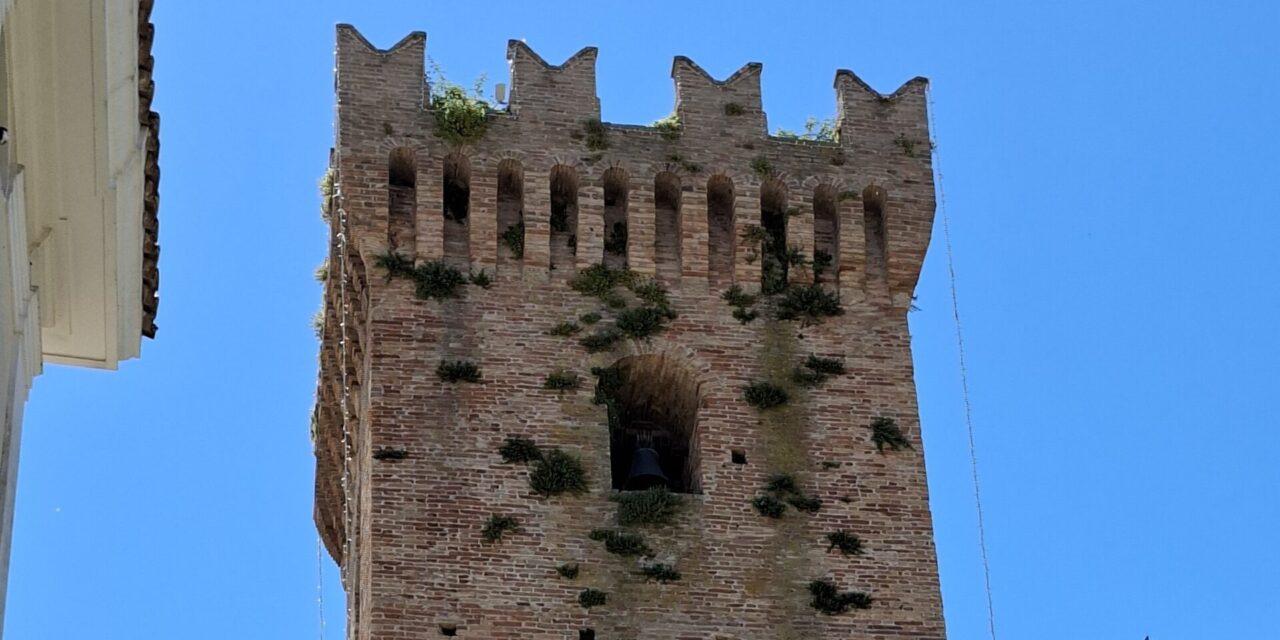 Erbacce sulla Torre Acquaviva, cresce l’allarme a Mosciano