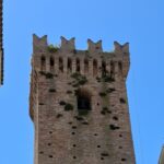 Erbacce sulla Torre Acquaviva, cresce l’allarme a Mosciano