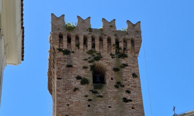 Erbacce sulla Torre Acquaviva, cresce l’allarme a Mosciano