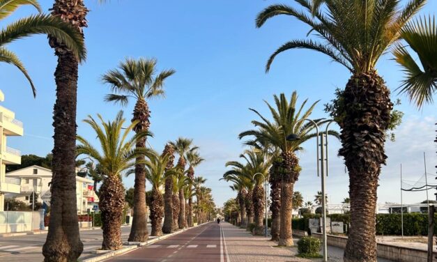 Tortoreto Lido, traffico e mobilità nel mirino dei residenti