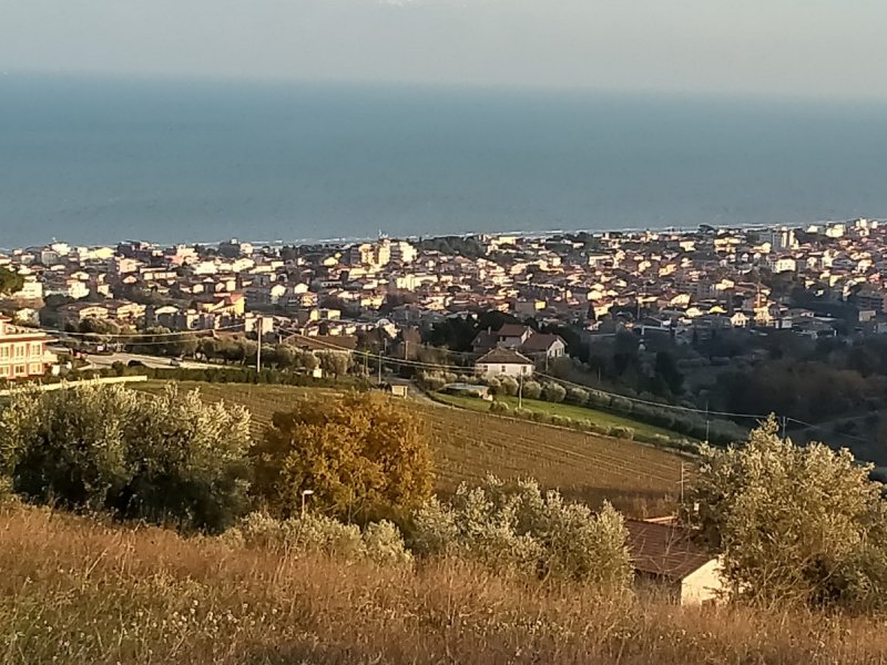 Tortoreto, residenti e villeggianti chiedono interventi su servizi e viabilità