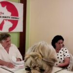 Tortoreto, il Tar ferma parte del regolamento animali