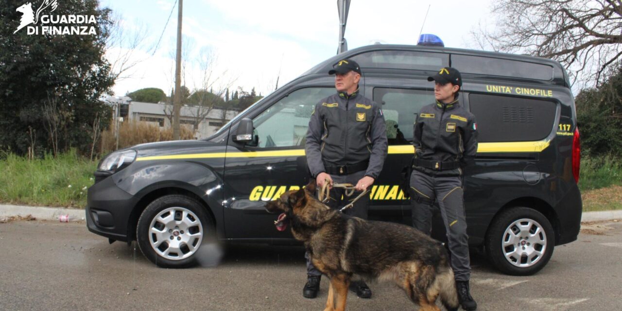 Blitz antidroga tra Giulianova e Val Vibrata, un arresto