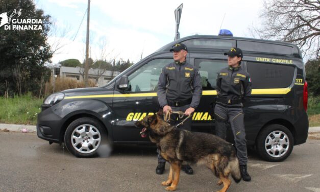 Blitz antidroga tra Giulianova e Val Vibrata, un arresto