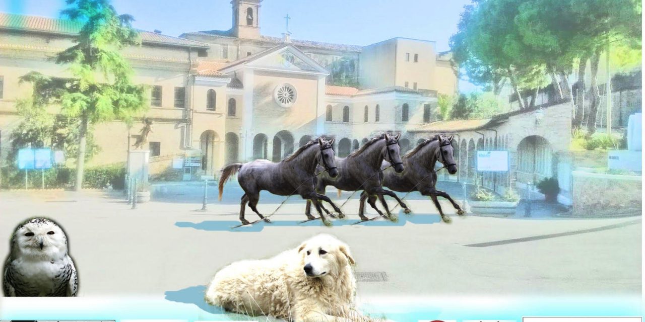 “Contro la paura… No Fear!”