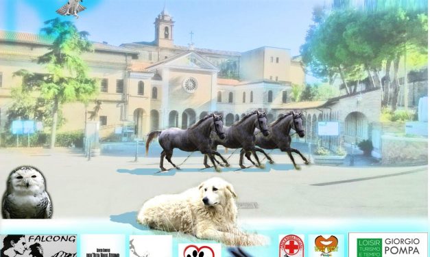 “Contro la paura… No Fear!”