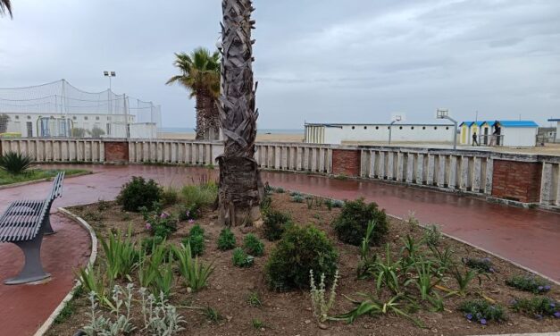 Giulianova, bilancio positivo per il progetto di verde urbano