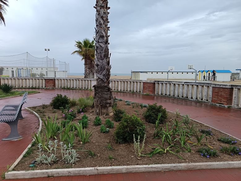 Giulianova, bilancio positivo per il progetto di verde urbano
