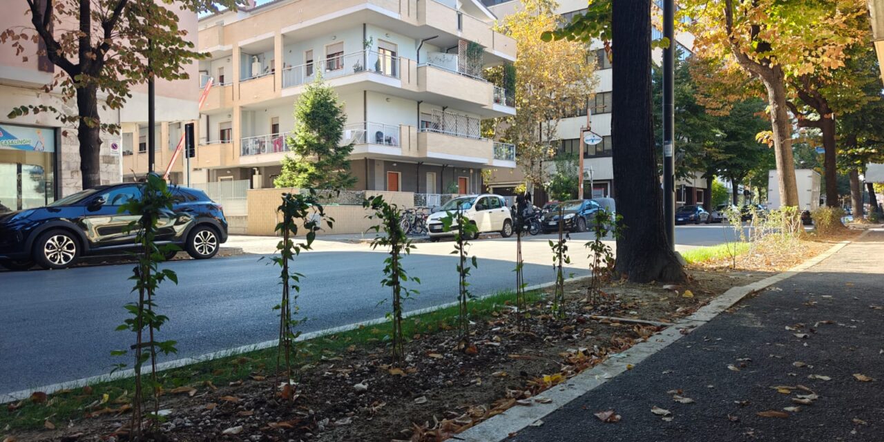 A Pescara si chiude il progetto europeo con tre nuove aree verdi