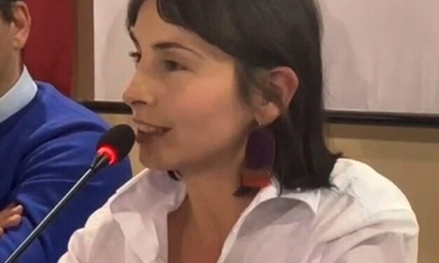 Verde e pianificazione, Viola interviene sul nuovo Puc