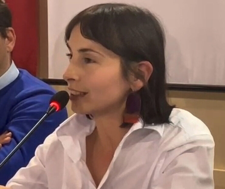 Verde e pianificazione, Viola interviene sul nuovo Puc