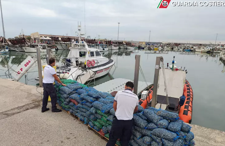 Martinsicuro, maxi sequestro di vongole senza tracciabilità