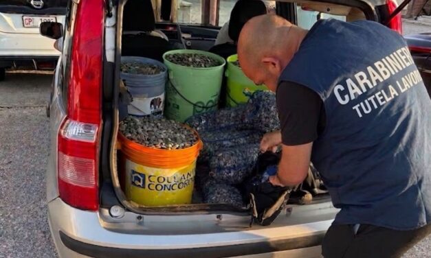 Controlli al porto di Giulianova: fermato carico di vongole